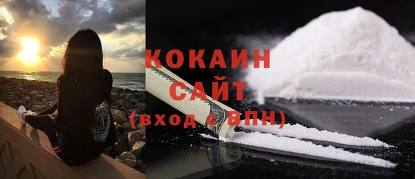 сатива Богородицк