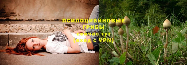 а пвп мука Богданович