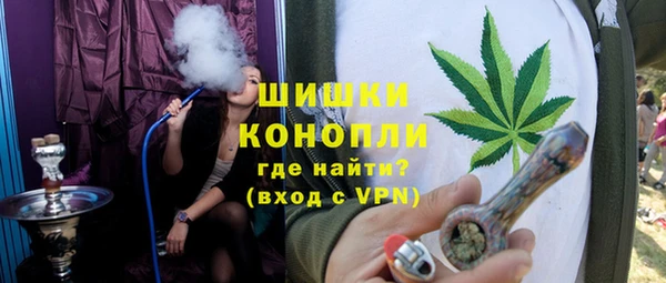 сатива Богородицк