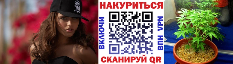 Канабис план  Шали 